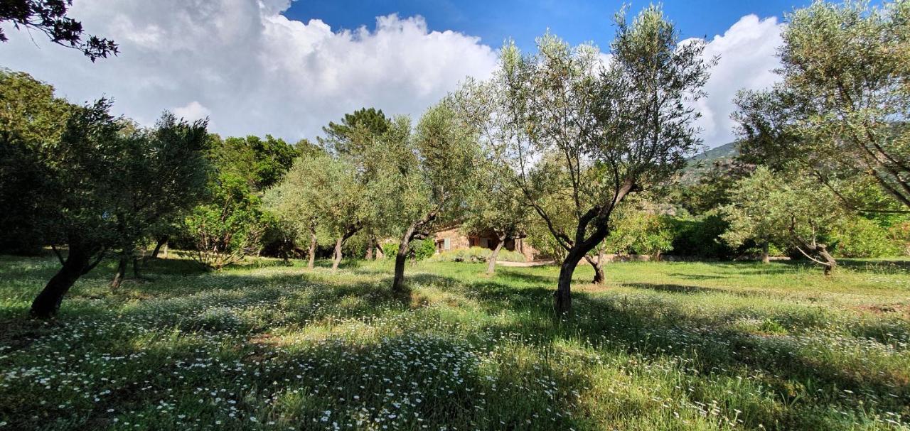 Domaine Codaleone Serriera  Εξωτερικό φωτογραφία