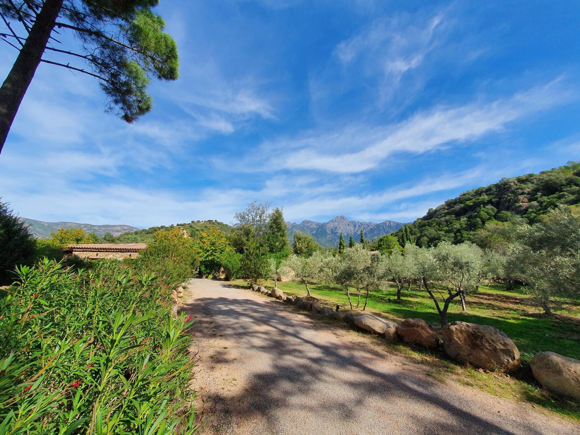 Domaine Codaleone Serriera  Δωμάτιο φωτογραφία